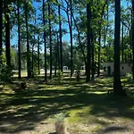 Pod Debami *