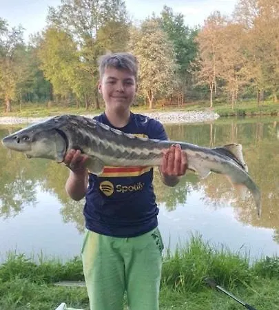 Pod Dębami Dom wakacyjny Mojecice