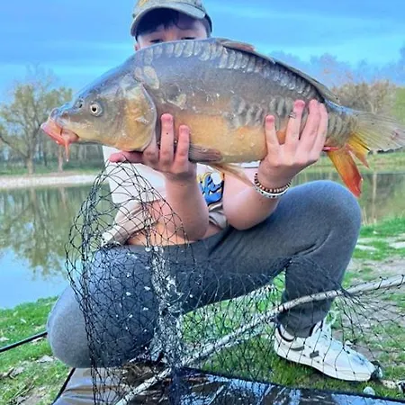 Dom wakacyjny Pod Dębami