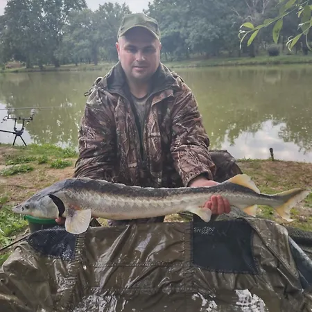 Pod Dębami Dom wakacyjny *