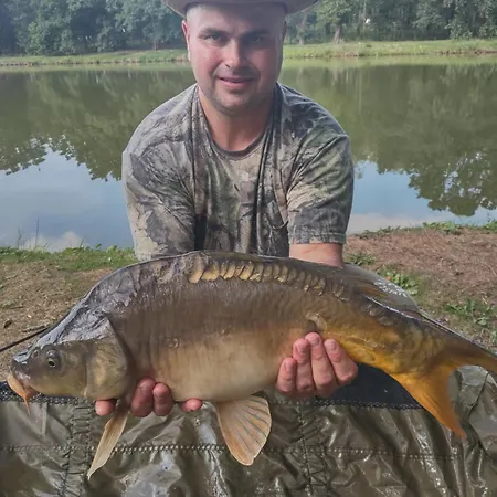 Dom wakacyjny Pod Dębami Mojecice