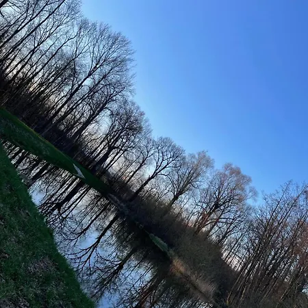 Dom wakacyjny Pod Dębami