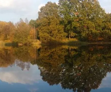 Pod Dębami Mojecice