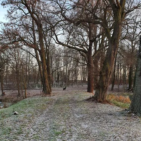 Pod Dębami Dom wakacyjny