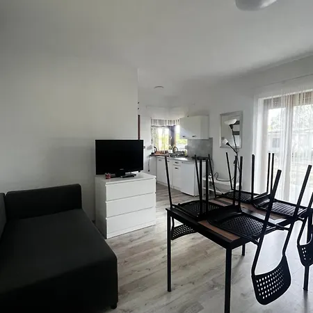 Pod Dębami Mojecice