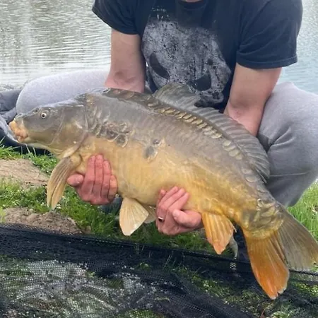 Dom wakacyjny Pod Dębami Mojecice