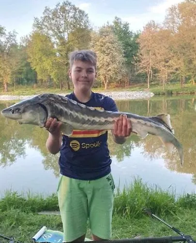 Pod Debami Holiday home Mojecice