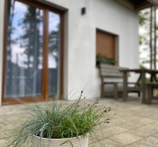 Pod Debami Holiday home Mojecice