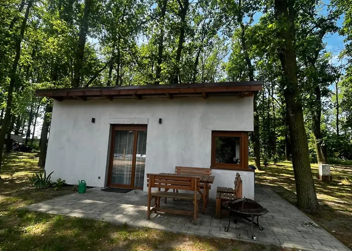 Holiday home Pod Debami Mojecice