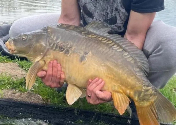 Holiday home Pod Debami Mojecice