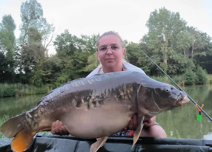 Pod Debami * Mojecice